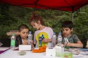 IMG_1849-s