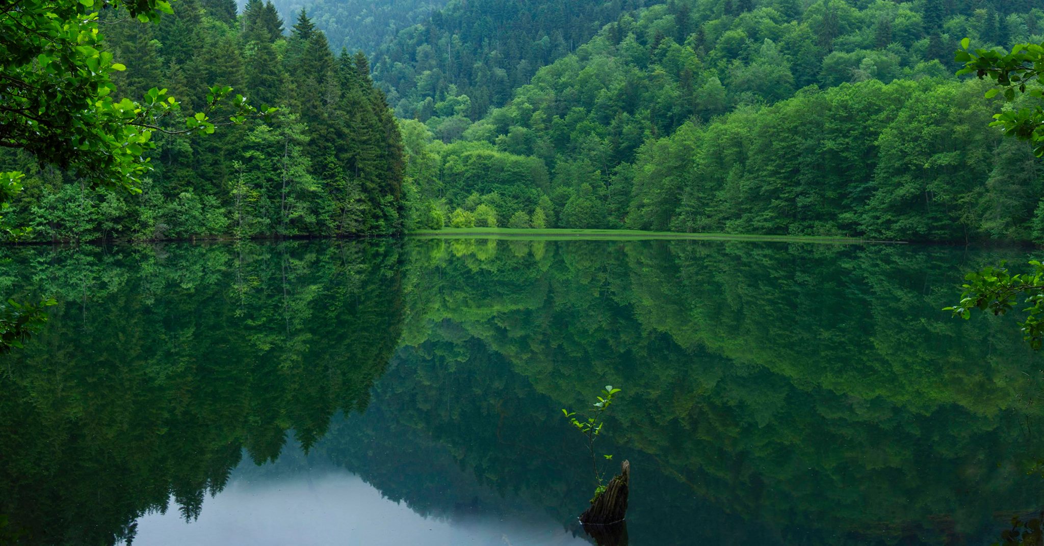 29258608_1611742335571616_828525704231518208_o