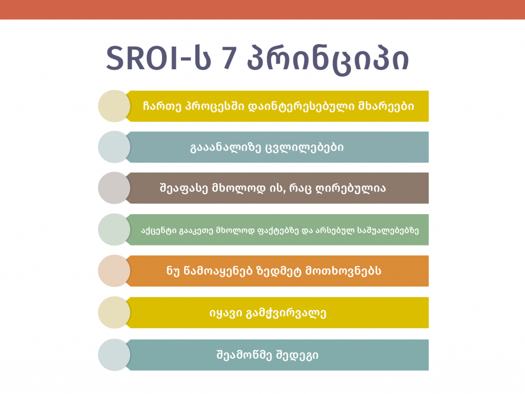 sroi-principles